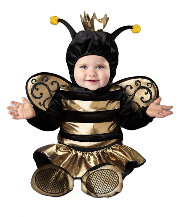 Baby Queen Bee Costume