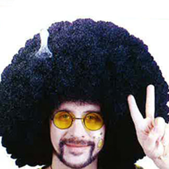 70's ADULT Fro Wig with Pick